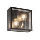 Aplica de perete iluminat exterior IP65 VERBIER