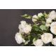 Aranjamente florale LUX - Aranjament floral mare decor festiv design LUX ROSES CLASSIC