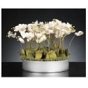 Aranjament floral mediu design LUX PHALEANOPSIS DISK