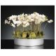 Aranjament floral mediu design LUX PHALEANOPSIS DISK