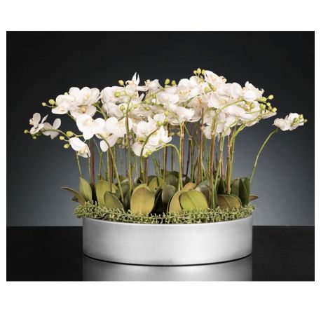 Aranjamente florale LUX - Aranjament floral mediu design LUX PHALEANOPSIS DISK