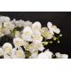 Aranjamente florale LUX - Aranjament floral mediu design LUX ROUND BOWL ENGLISH ROSES