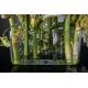 Aranjamente florale LUX - Aranjament floral mediu design LUX SQUARE TEBE