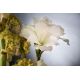 Aranjamente florale LUX - Aranjament floral mediu design LUX SQUARE TEBE