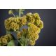 Aranjamente florale LUX - Aranjament floral mediu design LUX SEDUM PLANT