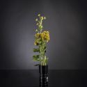 Aranjament floral mediu design LUX SEDUM PLANT