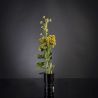Aranjament floral mediu design LUX SEDUM PLANT