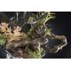 Aranjamente florale LUX - Aranjament floral mediu design LUX EXOTIC ANGELICA
