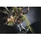 Aranjamente florale LUX - Aranjament floral mediu design LUX EXOTIC ANGELICA