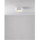 Plafoniere - Plafoniera LED design minimal SAMBA alba