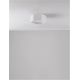 Plafoniere - Plafoniera LED design minimal SAMBA alba