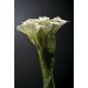 Aranjamente florale LUX - Aranjament floral mediu design LUX SMALL BUNCH OF CALLAS