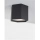 Plafoniere - Plafoniera LED design minimal SAMBA neagra
