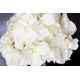 Aranjamente florale LUX - Aranjament floral mic decor festiv design LUX CUBO HYDRANGEA WHITE