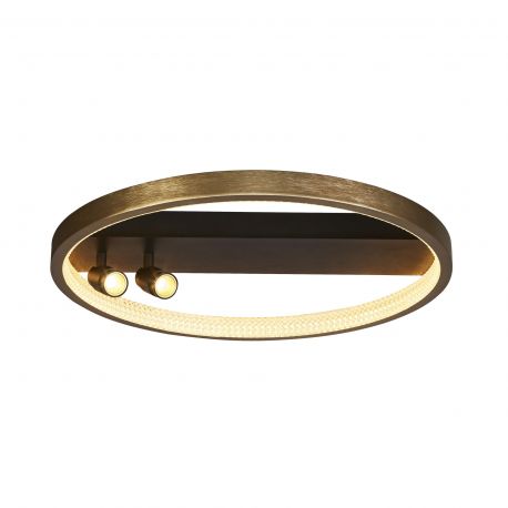 Pendule, Lustre suspendate - Lustra moderna aplicata cu inel LED dimabil Grace