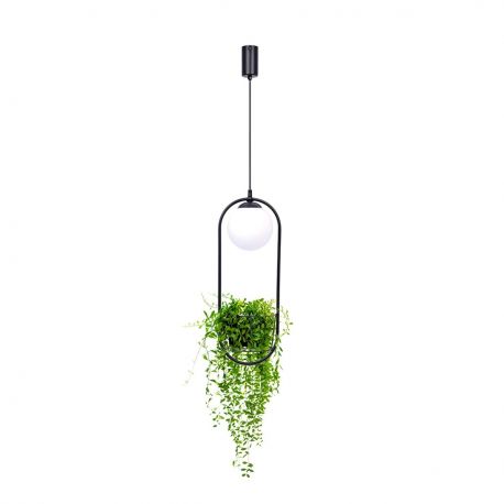 Pendule, Lustre suspendate - Lustra suspendata cu suport pentru plante PLANT