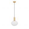 Lustra/Pendul design modern decorativ ALLEN D-24cm