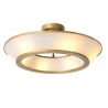 Lustra aplicata LUX design deosebit Ferette