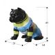 Statuete - Figurina decorativa caine medium PITBULL Rocky