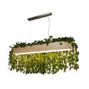 Lustra LED din lemn ideala pult sau masa bucatarie Ash