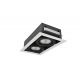 Spoturi tavan fals - Spot incastrat tavan/plafon NOVA 2 alb/negru