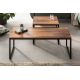 Masute Living - Set de 2 masute design industrial Elements Long Sheesham