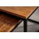 Masute Living - Set de 2 masute design industrial Elements Long Sheesham