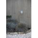 Spoturi - Spot LED de exterior IP65 iluminat ambiental DART SQ White