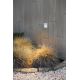 Spoturi - Spot LED de exterior IP65 iluminat ambiental DART SQ White
