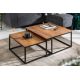 Masute Living - Set de 2 masute design industrial Elements Sheesham