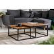Masute Living - Set de 2 masute design industrial Elements Sheesham