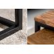 Masute Living - Set de 2 masute design industrial Elements Sheesham