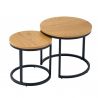 Set de 2 masute design industrial Elegance