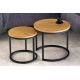 Masute Living - Set de 2 masute design industrial Elegance