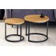 Masute Living - Set de 2 masute design industrial Elegance