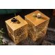 Masute Living - Set de 2 masute laterale Leaf auriu