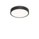 Plafoniera LED pentru baie IP44 Ray pl d40 negru