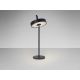 Lampi decorative si solare - Lampa LED portabila iluminat decorativ IP54 JIGRA neagra