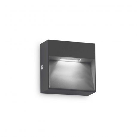 Aplice - Aplica LED iluminat exterior ambiental IP65 Dedra ap big