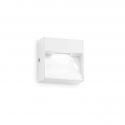 Aplica LED iluminat exterior ambiental IP65 Dedra ap big