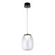 Pendul LED design decorativ modern PAMELA 20 clar