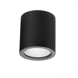 Spoturi - Spot LED aplicat de exterior IP54 CONYON 10W CCT SWITCH