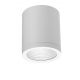 Spoturi - Spot LED aplicat de exterior IP54 CONYON 15W CCT SWITCH