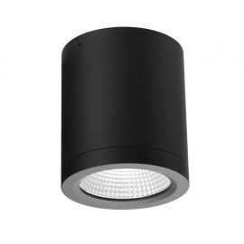 Spoturi - Spot LED aplicat de exterior IP54 CONYON 15W CCT SWITCH