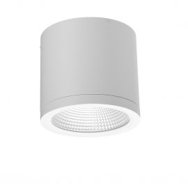 Spoturi - Spot LED aplicat de exterior IP54 CONYON 25W CCT SWITCH
