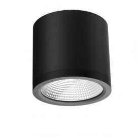 Spoturi - Spot LED aplicat de exterior IP54 CONYON 25W CCT SWITCH