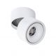 Plafoniere cu spoturi, Spoturi aplicate - Spot LED aplicat reglabil COSTA 12W CCT SWITCH