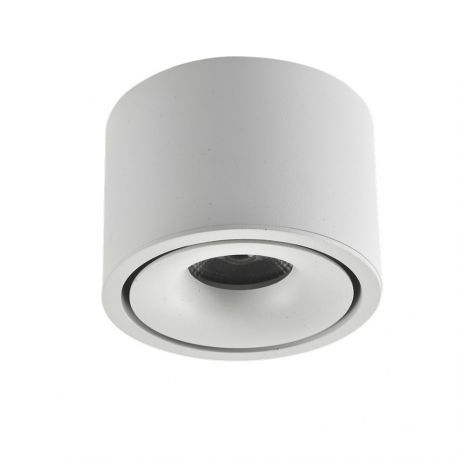 Plafoniere cu spoturi, Spoturi aplicate - Spot LED aplicat tavan COSTA 12W CCT SWITCH