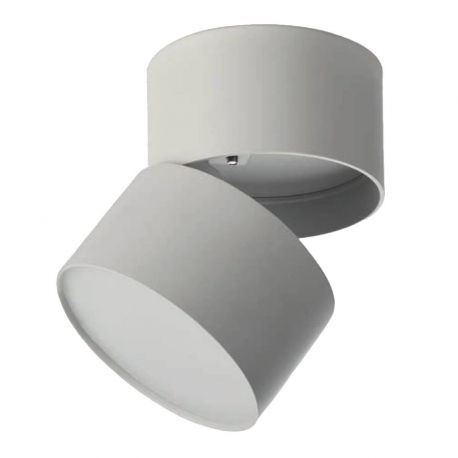 Plafoniere cu spoturi, Spoturi aplicate - Spot LED aplicat reglabil MONA 10W CCT SWITCH alb