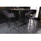 Scaune Bar - Set 2 scaune de bar Paris antracit